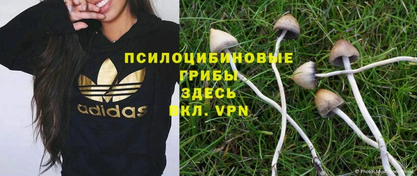 ешки Белоозёрский