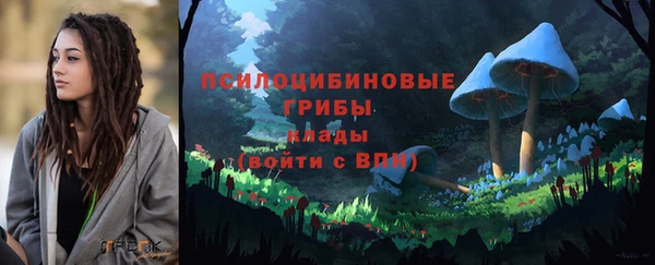 хмурый Балабаново