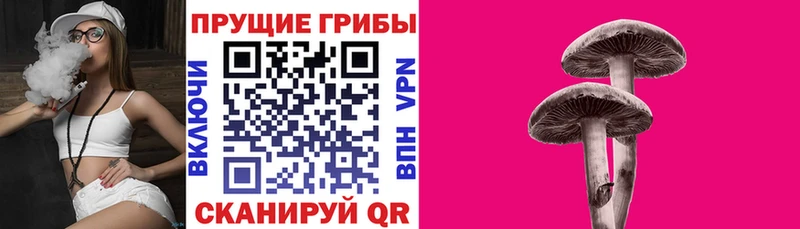 Псилоцибиновые грибы прущие грибы  OMG сайт  Кодинск 