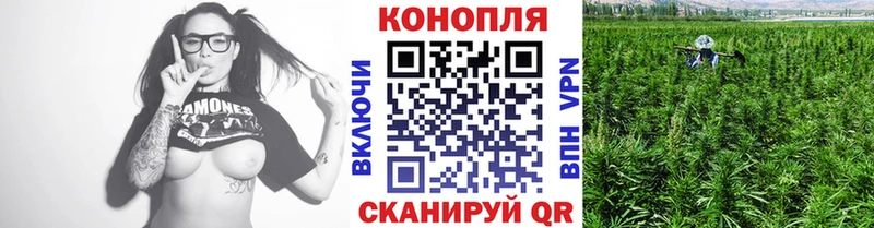 Бошки марихуана гибрид  MEGA tor  Кодинск 